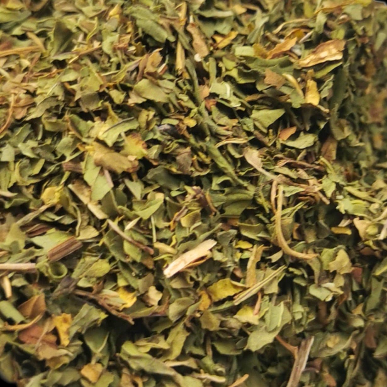 A cup of Porter Hill Tea Company's peppermint fruit and herbal tea with fresh peppermint leaves on a rustic wooden table.
