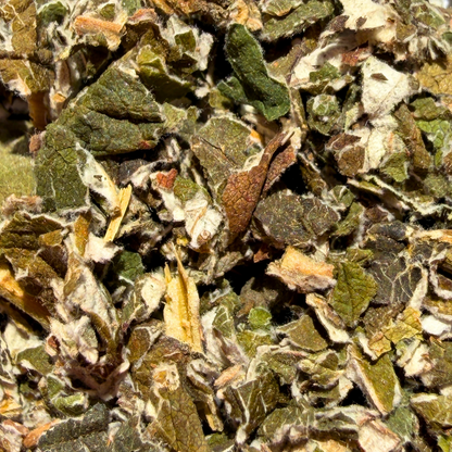 Loose raspberry leaf herbal tea from Porter Hill Tea Company, showing fresh dried raspberry leaves in a natural setting.