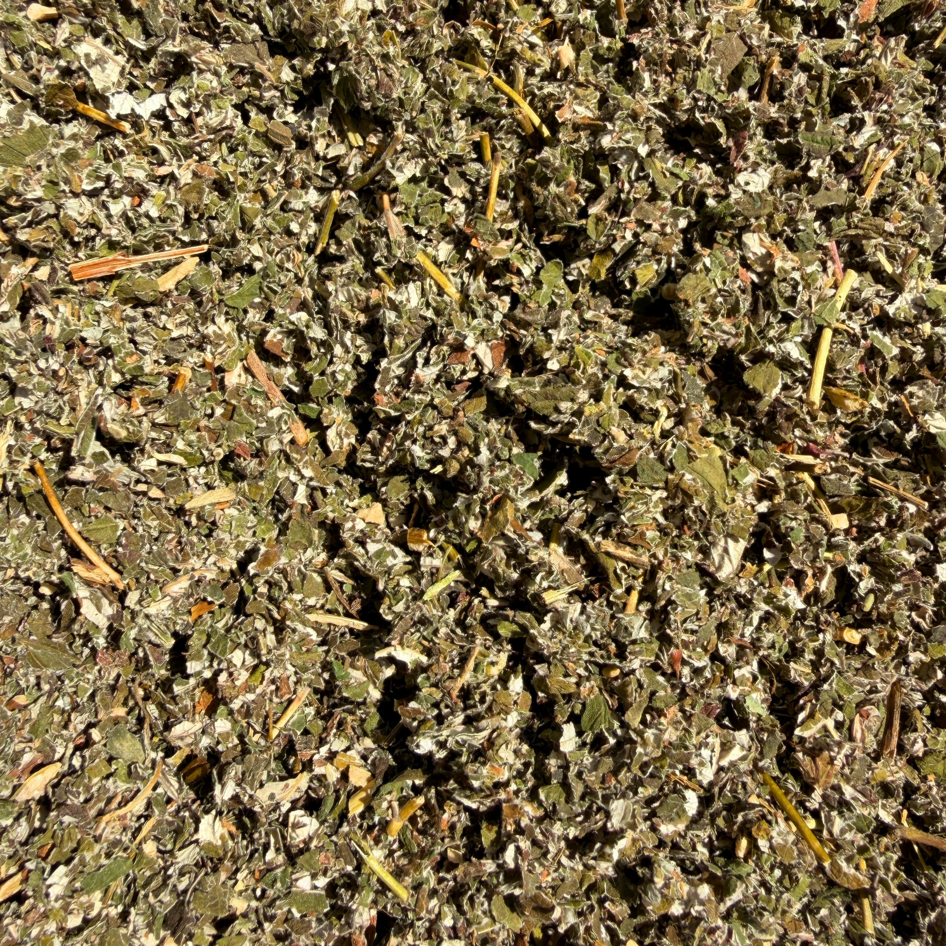 Loose raspberry leaf tea from Porter Hill Tea Company, featuring fresh, dried raspberry leaves in a natural herbal tea blend.