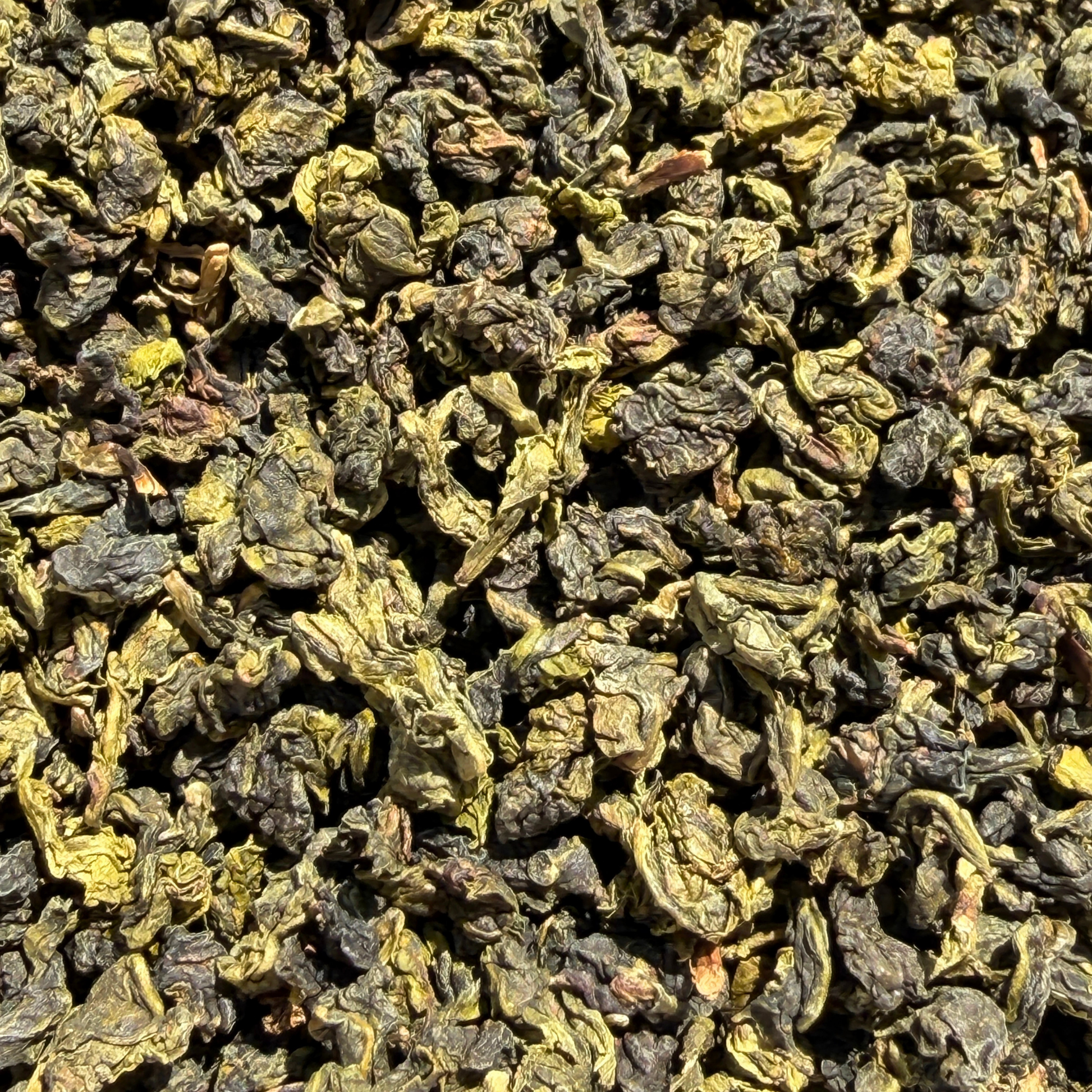 Loose leaf Shangri-La Iced Oolong tea by Porter Hill Tea Company, showcasing vibrant, twisted oolong tea leaves.