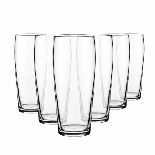 Ale Craft Beer Glasses - 570ml - Set of 6