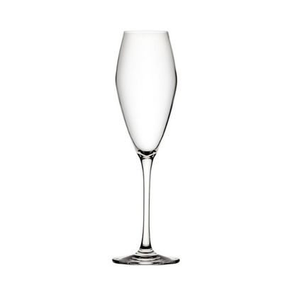 Set of six Seine Glass Flutes, 260ml champagne glasses by Glassware UK, displayed with elegant tall, clear glass design.
