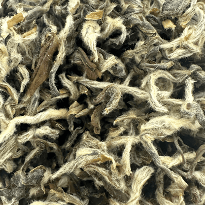 Loose leaf Snow Yunnan white tea from Porter Hill Tea Company, showcasing light, fluffy white tea leaves with silvery tips.