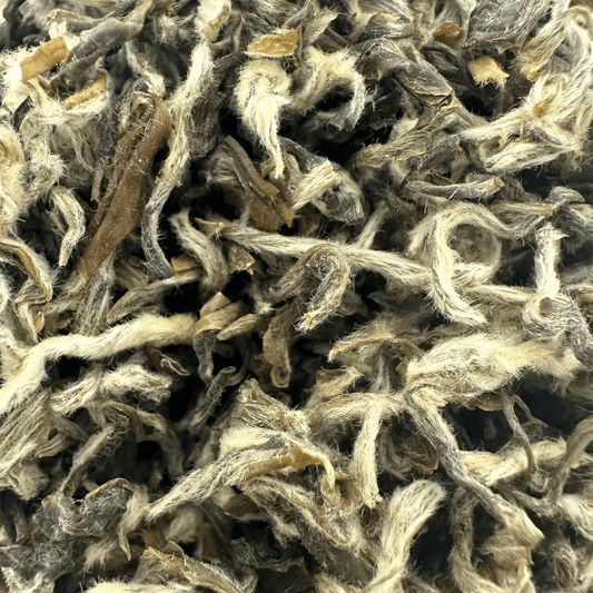 Loose leaf Snow Yunnan white tea from Porter Hill Tea Company, showcasing light, fluffy white tea leaves with silvery tips.