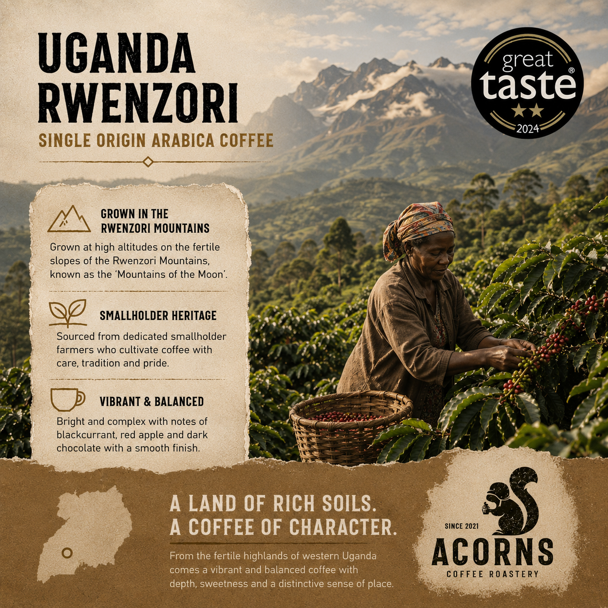 Fresh roasted Uganda Rwenzori Kisinga medium roast coffee beans from Acorns Coffee & Cake, showcasing glossy beans from Mountain of the Moon.