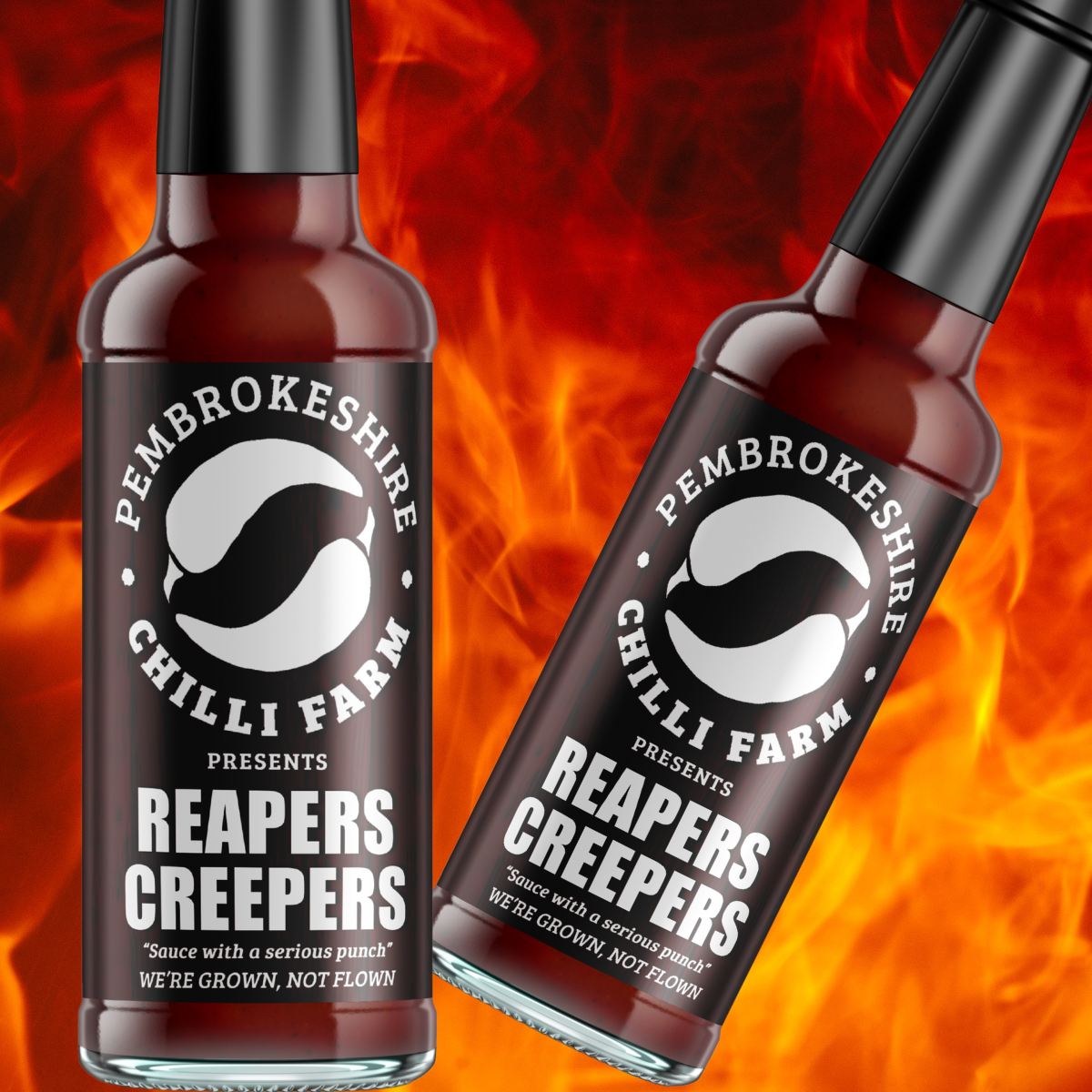 Pembrokeshire Chilli Farm hot sauce bottles featuring three chili sauces with vibrant labels and bold branding.