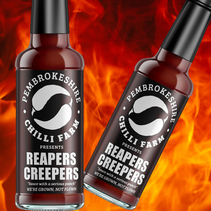 Pembrokeshire Chilli Farm hot sauce bottles featuring three chili sauces with vibrant labels and bold branding.