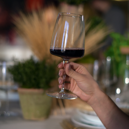Set of four Bormioli Rocco Planeo Gran Rosso wine glasses, 555ml, clear glassware for red wine, designed by Glassware UK