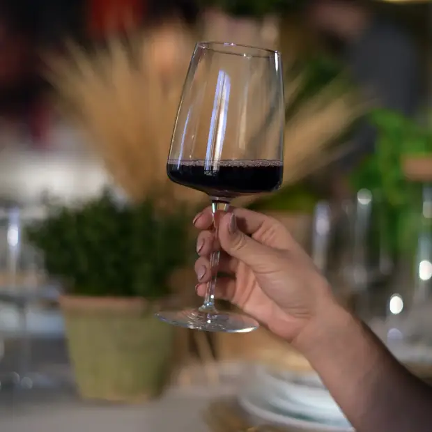 Set of four Bormioli Rocco Planeo Gran Rosso wine glasses with 555ml capacity, clear glassware for red wine.