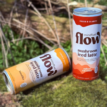 Lion's Mane Oat Latte - Salted Caramel 6x250ml