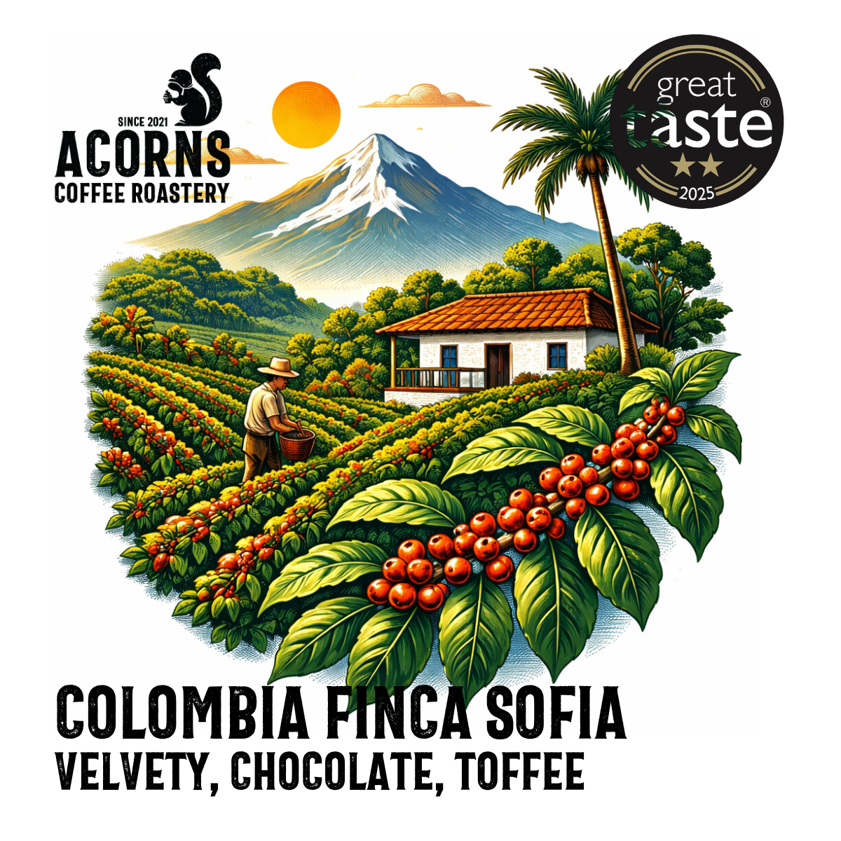 Colombia Finca Sofia coffee bag from Acorns Coffee & Cake, featuring toffee caramel flavor label and vibrant packaging.