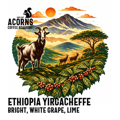 Acorns Coffee