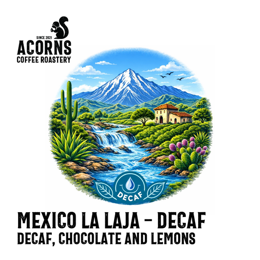 Mexico Mountain Water Decaf Acorns Coffee & Cake