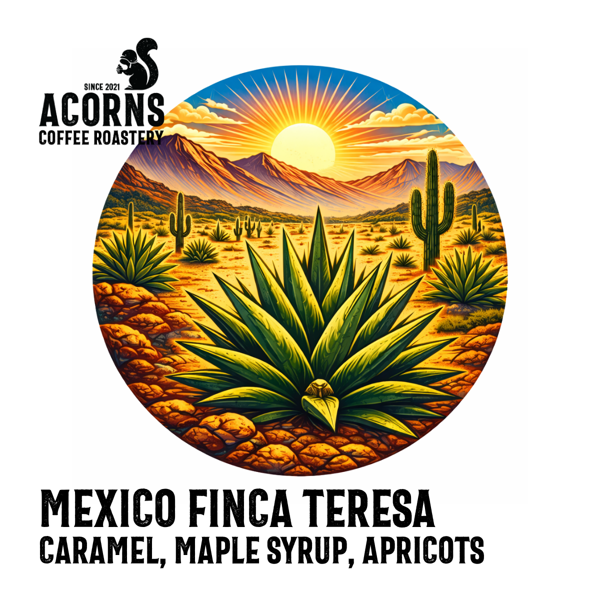 Medium roast Mexico Finca Teresa coffee beans from Acorns Coffee & Cake with caramel, maple syrup, and apricot notes.