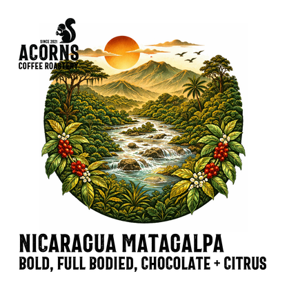 Medium roast Nicaragua Matagalpa coffee by Acorns Coffee & Cake, featuring bold chocolate and citrus notes in the image.
