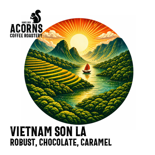 Vietnam Son La Medium Roast Acorns Coffee & Cake