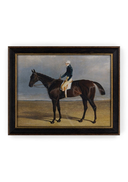 Vintage-style horse print wall art by Casa by Josephine Jenno, featuring a detailed illustration of a champion horse on a neutral background.