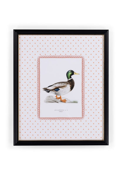 Feather and Grace Duck Print III