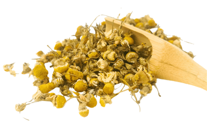 Organic chamomile herbal tea in a transparent glass cup with dried chamomile flowers, from Porter Hill Tea Company.