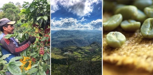 Collage of Colombia Medellin Root Roast coffee beans by Clubhouse Roastery, showcasing roasted coffee beans and brewing process.