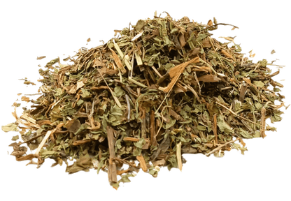 Fresh organic dandelion leaves for herbal tea from Porter Hill Tea Company, shown in a transparent container.