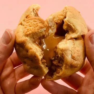 Golden Biscoff cookie from Cool Hog Snacks, showcasing a crispy, caramelized biscuit with a rich golden-brown color