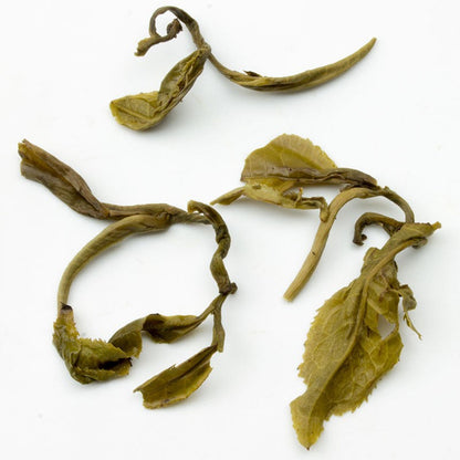 Unfurled Jasmine Dragon Pearl Green Tea leaves from PekoeTea Edinburgh, showcasing the delicate, hand-rolled tea pearls.