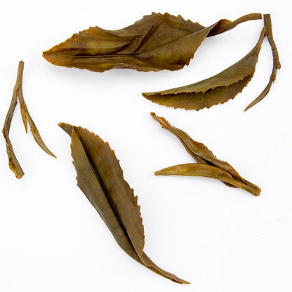 Unfurled Kinnettles Gold Scottish Grown Tea leaves by PekoeTea Edinburgh, showcasing fresh, high-quality tea leaves.