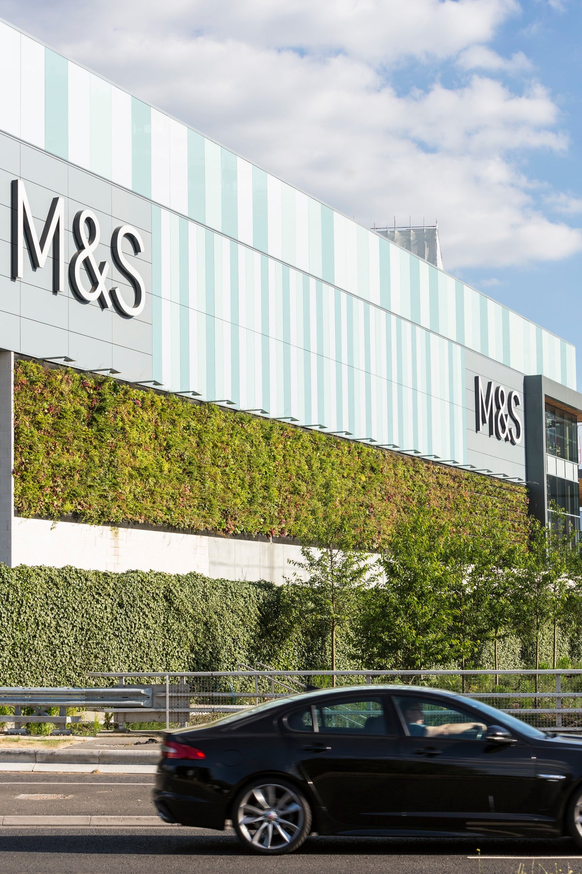 LivePanel outdoor living wall by Botanical Boys, green wall art with lush foliage for modern outdoor spaces.