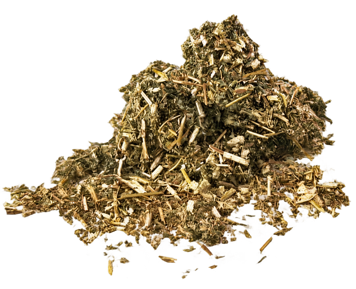 Porter Hill Tea Company Mugwort Tea, herbal fruit infusion in a transparent glass mug with fresh mugwort leaves.