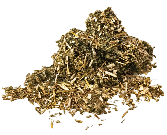Mugwort Tea