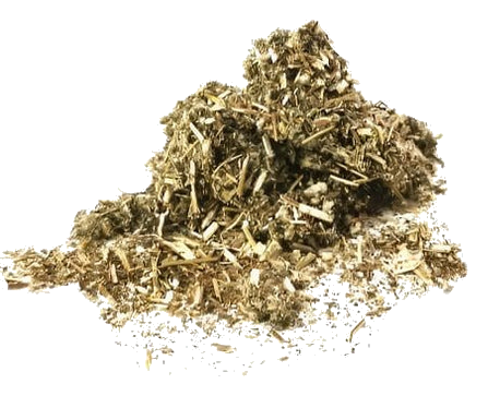 Porter Hill Tea Company Mugwort Tea, herbal fruit infusion in a transparent glass cup with fresh mugwort leaves.