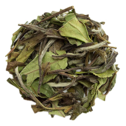 PekoeTea Edinburgh Pai Mu Dan white tea leaves in a clear glass teapot, showcasing delicate, light-colored tea leaves.