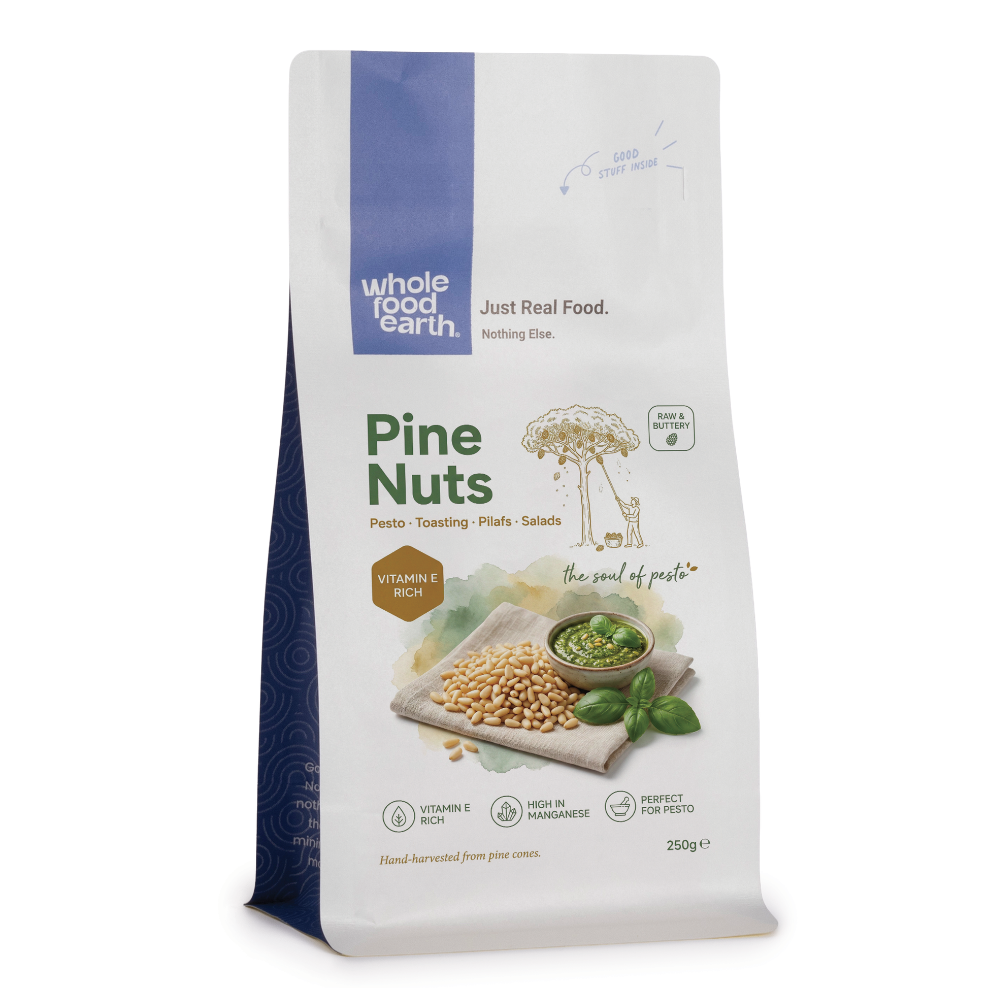 Whole Food Earth pine nuts, a type of nuts and seeds, shown in a 3D image with natural light highlighting their small, oval shape.
