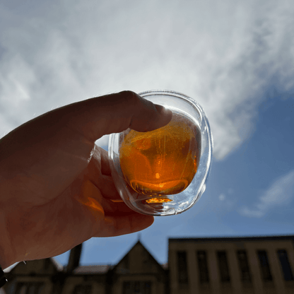 Organic Turkish Apple Tea from Porter Hill Tea Company, showing brewed fruit and herbal tea in a clear glass cup.