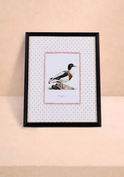 Duck IV Framed Print- The Prettiest By Far
