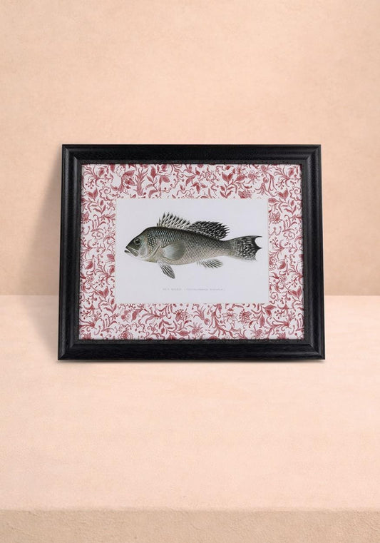 Vintage Fish III framed wall art by Casa for the English home, featuring a detailed, noble fish illustration in a classic style.