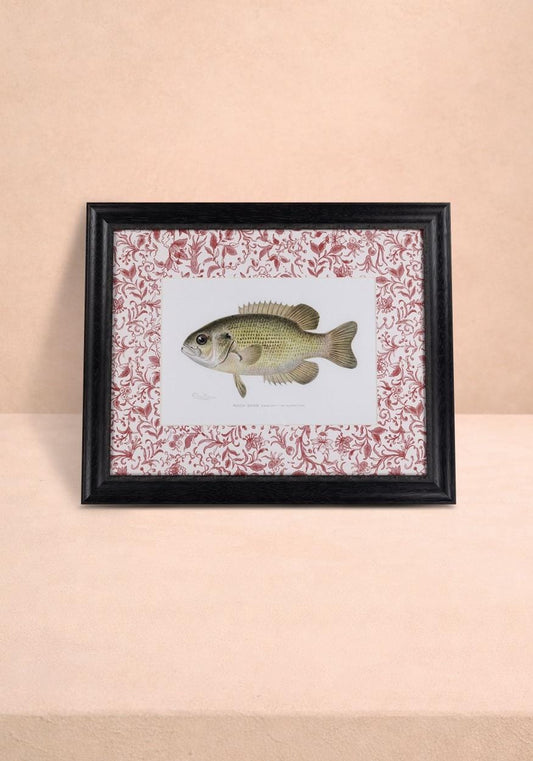 Framed wall art print by Casa Josephine Jenno featuring a British fish illustration, titled "Just a Bit Brilliant."