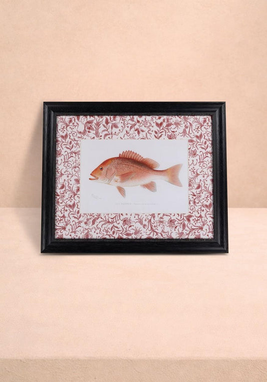 Vintage Fish Study I wall art by Casa, featuring detailed fish illustrations for stylish wall decor in any room.