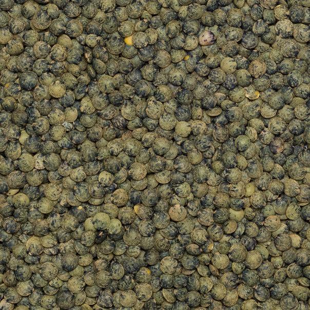 Dark speckled lentils from Whole Food Earth, GMO-free, vegan, natural beans and pulses suitable for healthy cooking.