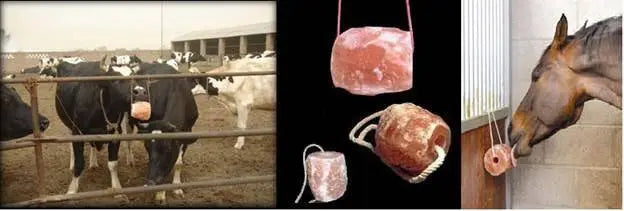 Whole Food Earth Himalayan Pink Salt Lick for pets, showing a natural salt block ideal for animal mineral intake.