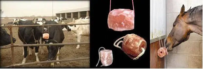 Whole Food Earth Himalayan Pink Salt Lick for pets, showing a natural salt block ideal for animal mineral intake.