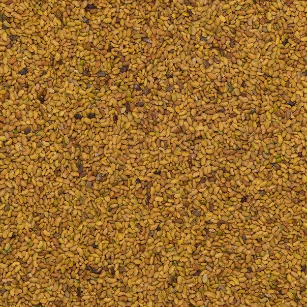 Organic alfalfa seeds from Whole Food Earth, raw, GMO-free, vegan, and additive-free nuts and seeds product.