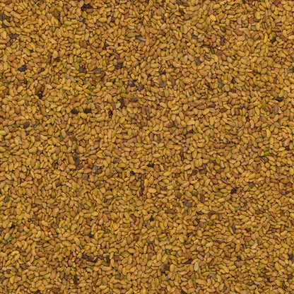 Organic alfalfa seeds from Whole Food Earth, raw, GMO-free, vegan, and additive-free nuts and seeds product.