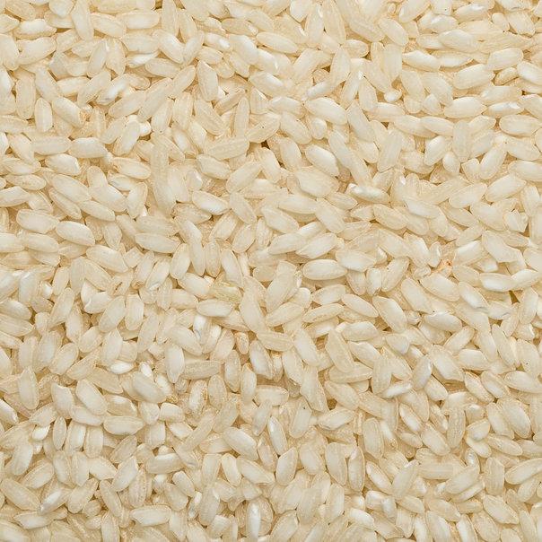Organic Arborio Rice from Whole Food Earth, raw, GMO-free, vegan, and additive-free rice for cooking and dishes.