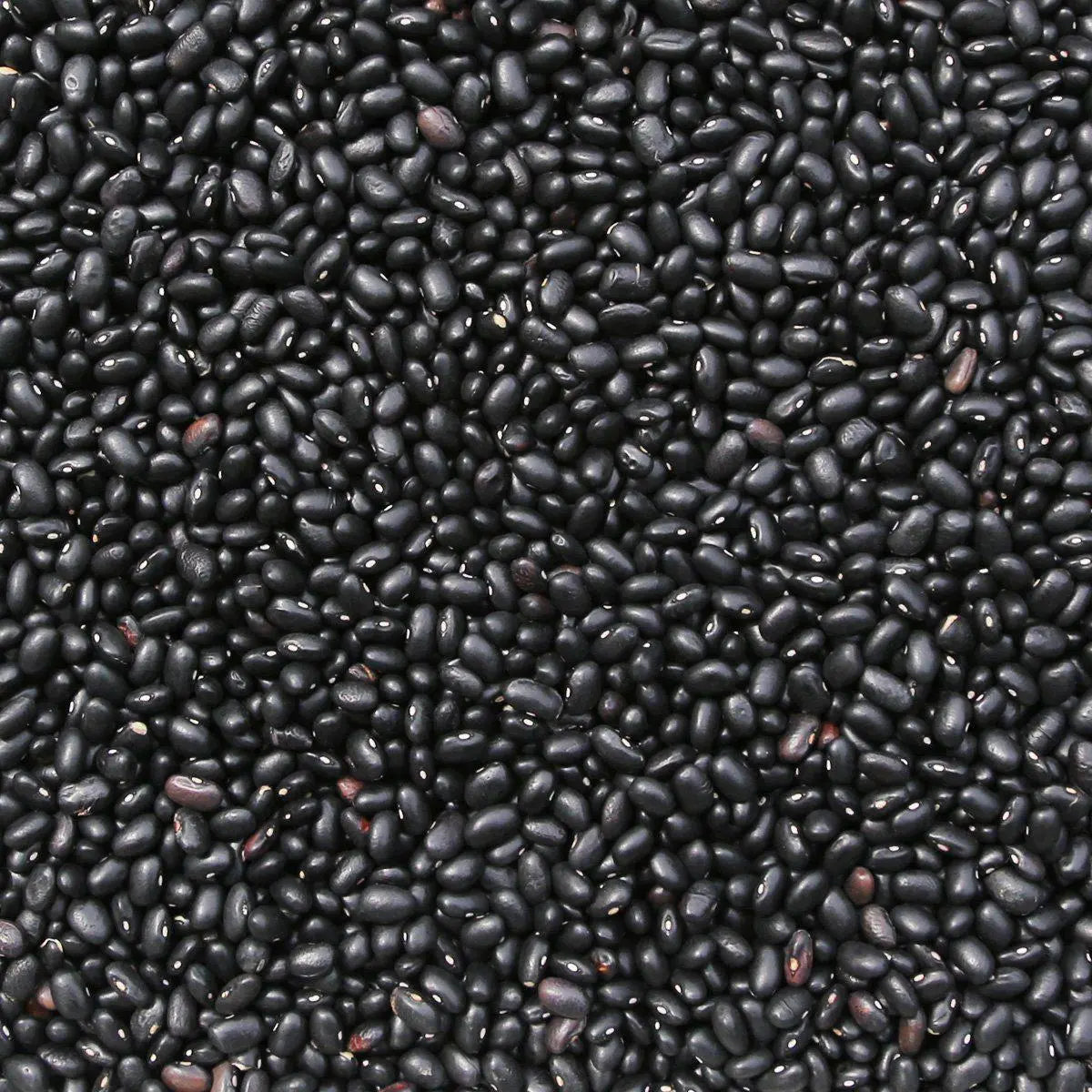 Organic black turtle beans from Whole Food Earth, raw and GMO-free, in a close-up shot showing their glossy black appearance.