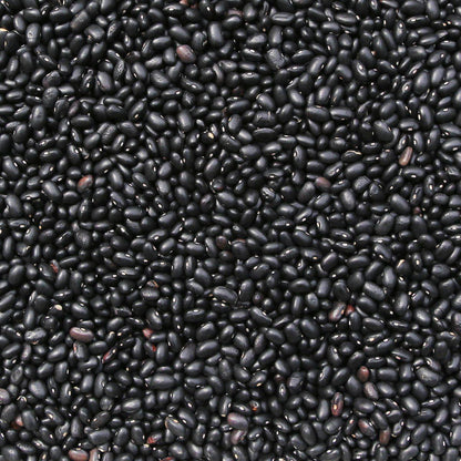 Raw organic black turtle beans from Whole Food Earth, GMO-free, showcasing glossy black beans in a close-up image.