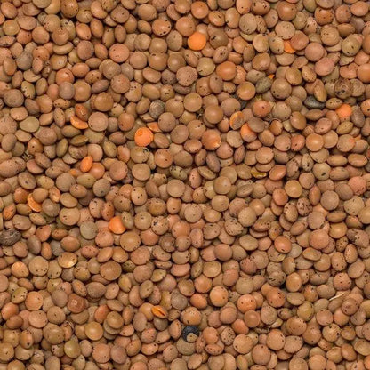 Organic brown lentils from Whole Food Earth, GMO-free, shown in a clear image, perfect for healthy rice and couscous dishes.