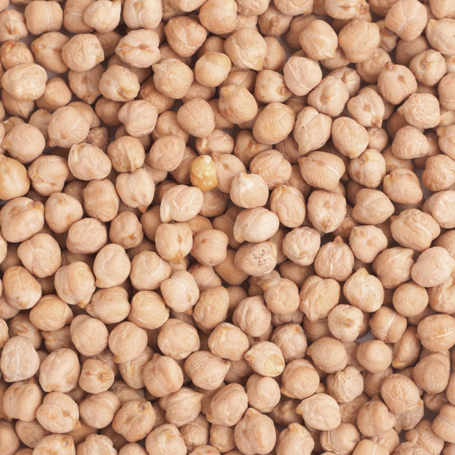 Organic chickpeas from Whole Food Earth, display of light tan, dried legumes in a bowl on a rustic wooden surface.