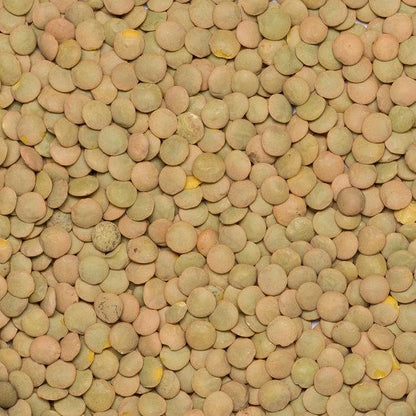 Organic green lentils from Whole Food Earth, displayed in a bowl, showcasing fresh, GMO-free beans and pulses.